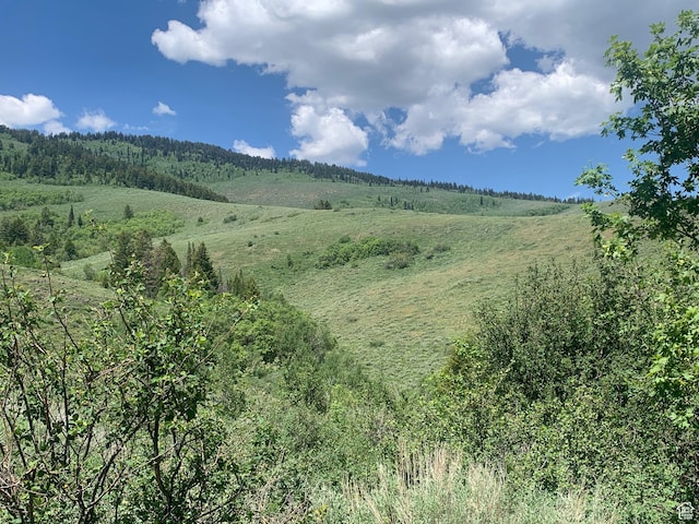 516 Cold Springs Dr Unit 383, Fish Haven, ID 83287