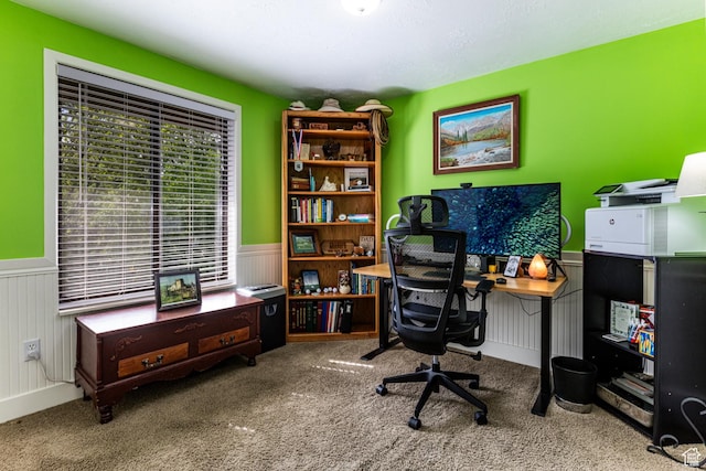453 Sheridan Cir, Centerville, UT 84014 - home office with carpet flooring and a wainscoted wall