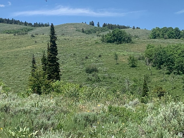 490 Cold Springs Dr Unit 386, Fish Haven, ID 83287