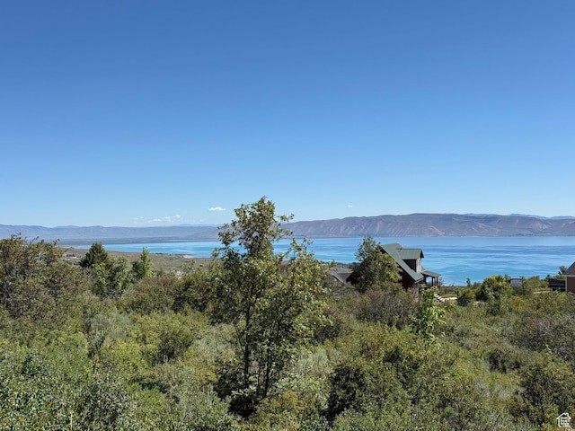 128 Calamity Dr Unit 437, Fish Haven, ID 83287