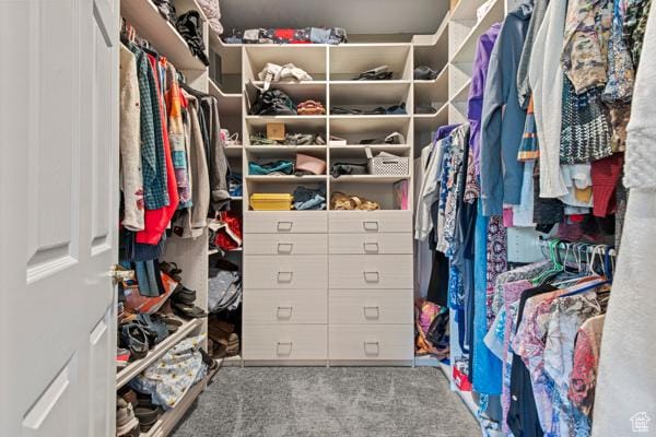 13032 S 1300 W, Riverton, UT 84065 - spacious closet featuring carpet floors