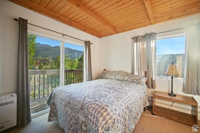 10 S 900 E, Pine Valley, UT 84781 - carpeted bedroom with wooden ceiling, access to outside, a mountain view, radiator, and heating unit