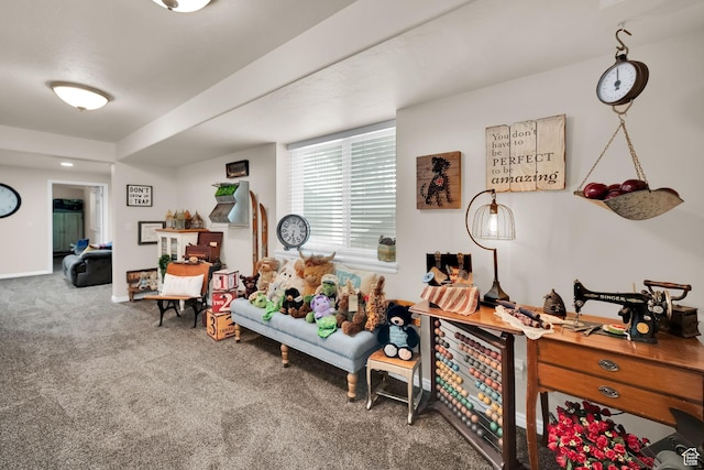 224 Rawlins Ln, Draper, UT 84020 - game room featuring carpet