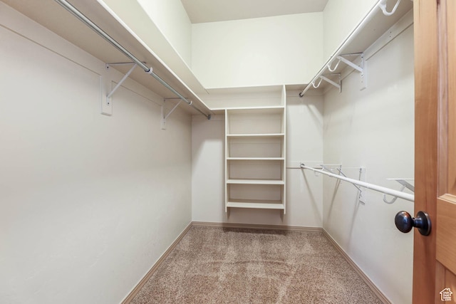 1524 W Foliage Ln, South Jordan, UT 84095 - spacious closet with carpet