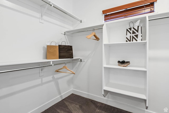 1692 N Sage Ln, Saratoga Springs, UT 84045 - spacious closet featuring dark carpet