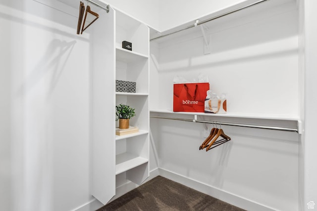 1692 N Sage Ln, Saratoga Springs, UT 84045 - walk in closet with dark colored carpet