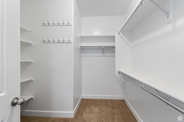 5549 W Parkway W Dr, Highland, UT 84003 - spacious closet with carpet floors