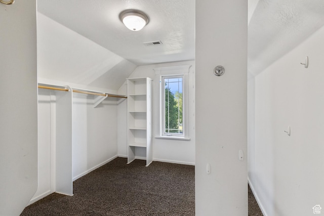 6373 W 10500 N, Highland, UT 84003 - spacious closet with carpet floors and vaulted ceiling