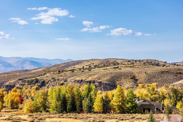 6770 E Cliff View Ct Unit 8, Heber City, UT 84032