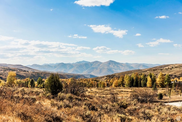 6770 E Cliff View Ct Unit 8, Heber City, UT 84032