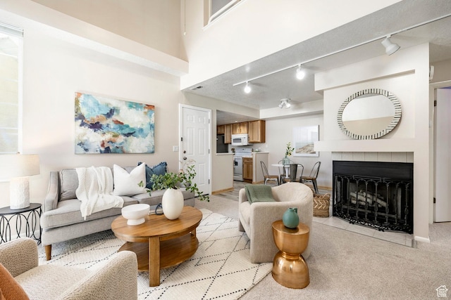 5441 S Spinnaker Row, Taylorsville, UT 84123 - living area with track lighting, a fireplace, and light colored carpet
