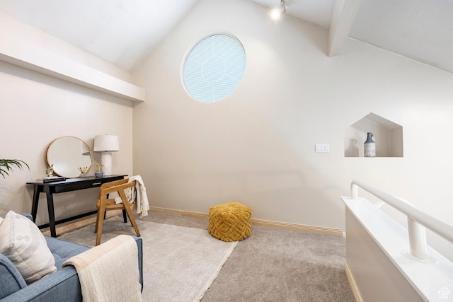 5441 S Spinnaker Row, Taylorsville, UT 84123 - office with vaulted ceiling and carpet flooring