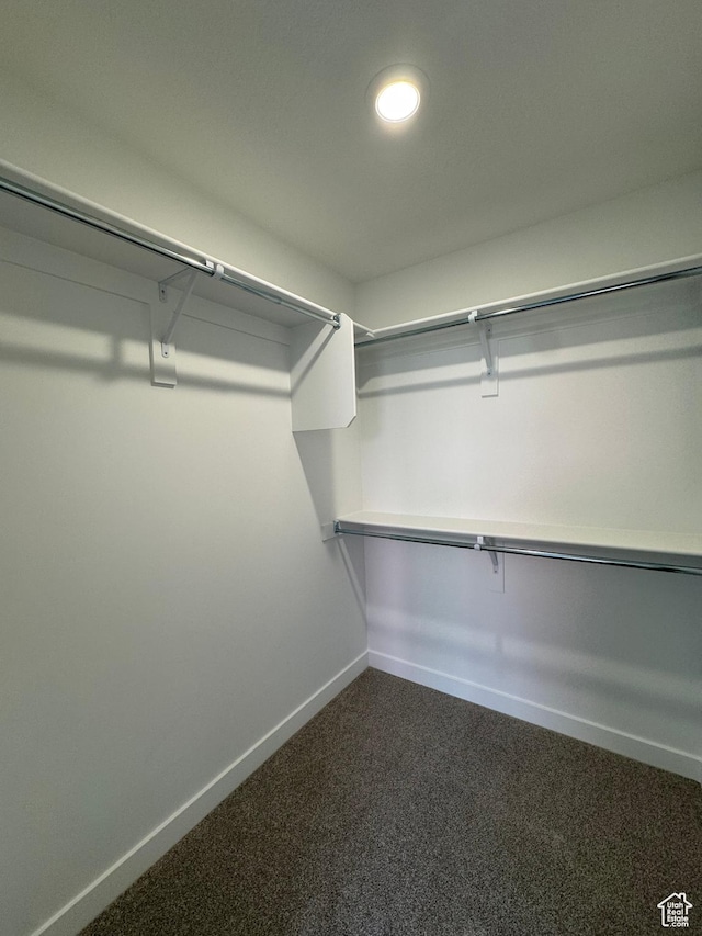 1456 N 1875 W Unit 147, Layton, UT 84041 - spacious closet with dark colored carpet