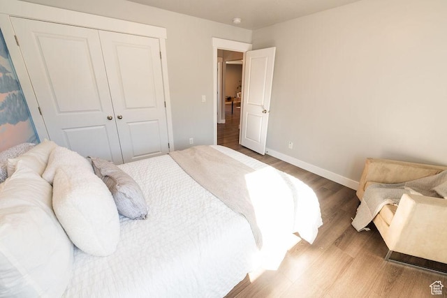 7390 N Pawnee Rd, Eagle Mountain, UT 84005 - bedroom with wood finished floors and a closet