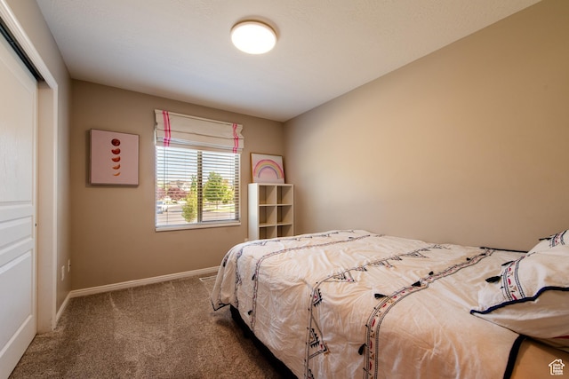 552 E Sunset Stream Way, Draper, UT 84020 - bedroom featuring carpet and a closet