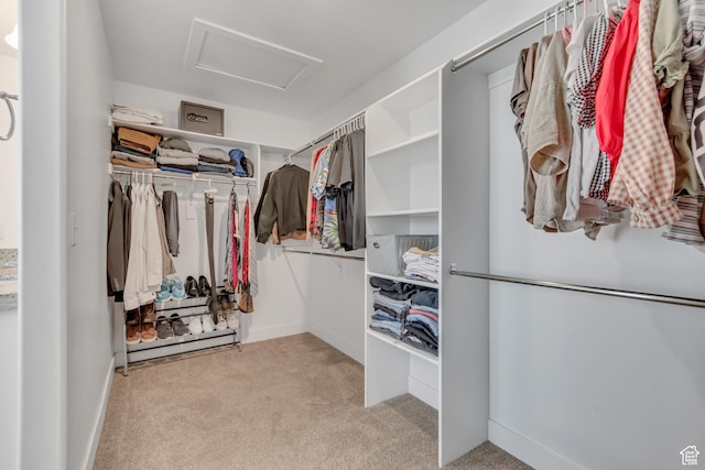 4913 E Golden Meadow Xing, Eagle Mountain, UT 84005 - walk in closet with attic access and carpet