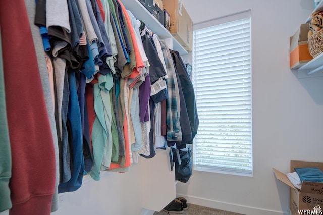 1690 S 225 W, Clearfield, UT 84015 - view of walk in closet