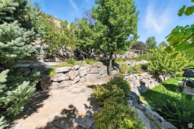9116 Silver Lake Dr, Cedar Hills, UT 84062 - exterior space