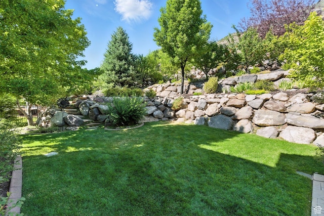 9116 Silver Lake Dr, Cedar Hills, UT 84062 - view of green lawn