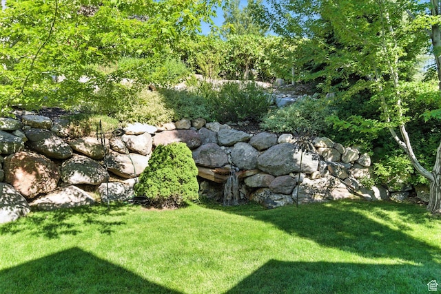 9116 Silver Lake Dr, Cedar Hills, UT 84062 - view of green lawn