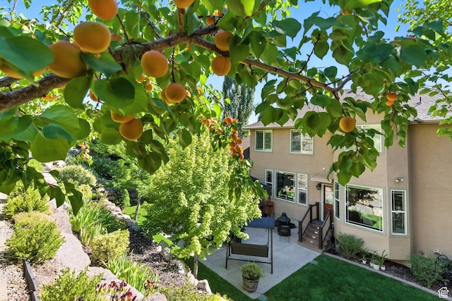 9116 Silver Lake Dr, Cedar Hills, UT 84062 - view of yard featuring a patio and entry steps