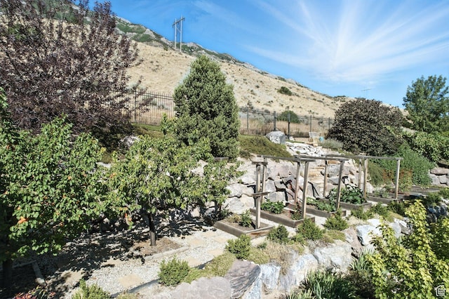 9116 Silver Lake Dr, Cedar Hills, UT 84062 - view of yard featuring a mountain view and a garden
