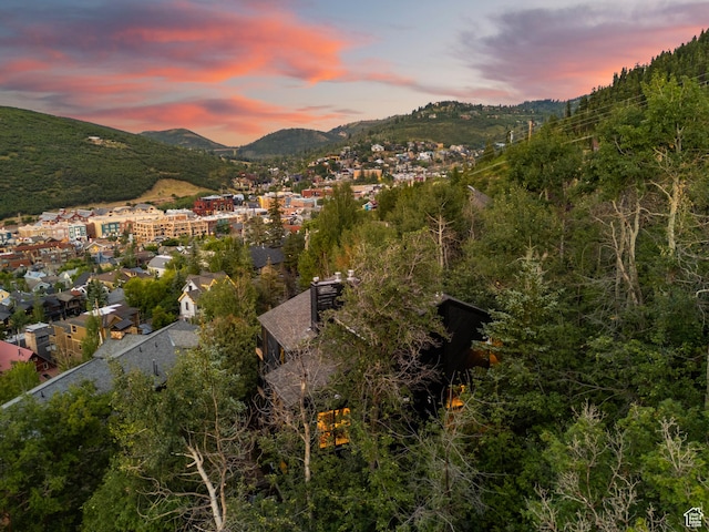 947 Northstar Dr, Park City, UT 84060 - view of mountain backdrop