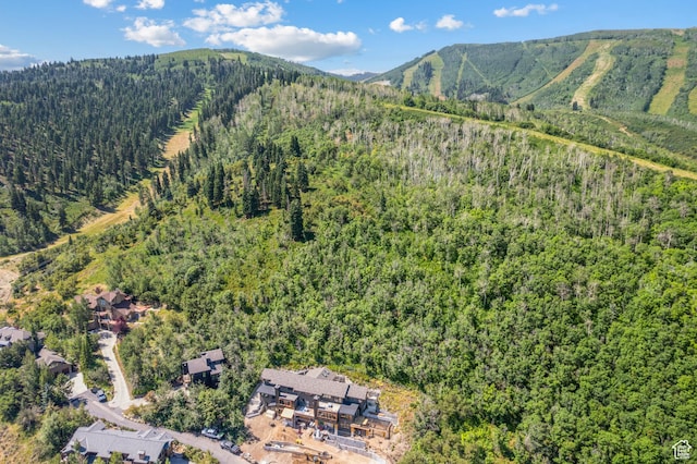 947 Northstar Dr, Park City, UT 84060 - view of mountain background featuring a heavily wooded area