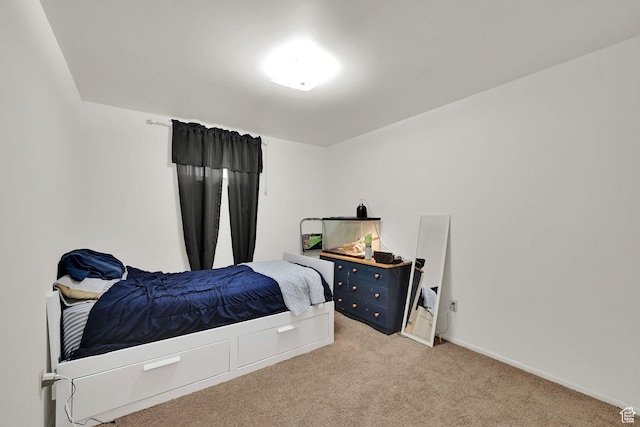 4445 Fillmore Ave, Ogden, UT 84403 - bedroom with light colored carpet and baseboards