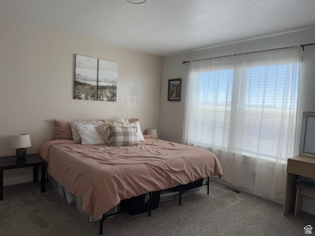 931 W 910 N, Tremonton, UT 84337 - bedroom featuring carpet flooring and a textured ceiling