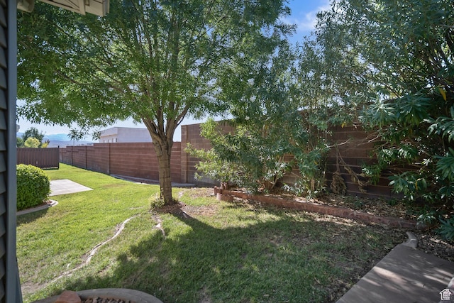 845 N Valley View Dr Unit 917, St George, UT 84770 - view of fenced backyard