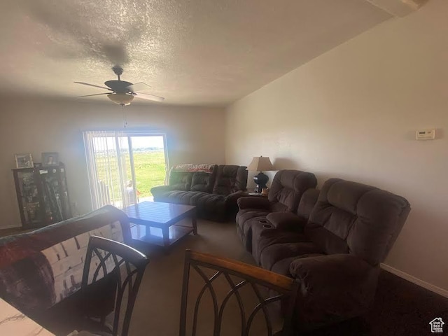 6689 W 7625 S, Myton, UT 84052 - living area with a ceiling fan, a textured ceiling, and carpet floors