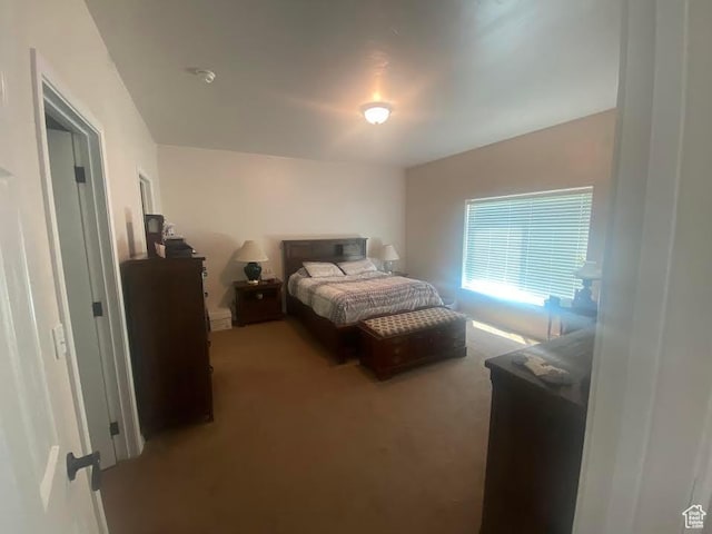 6689 W 7625 S, Myton, UT 84052 - bedroom featuring carpet