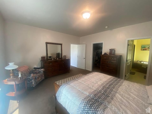 6689 W 7625 S, Myton, UT 84052 - bedroom featuring carpet, a spacious closet, and ensuite bathroom