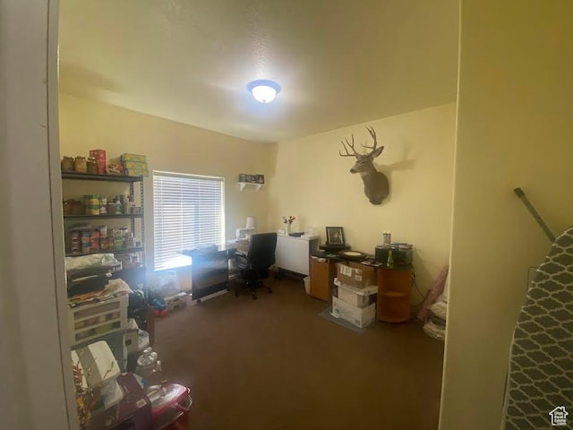 6689 W 7625 S, Myton, UT 84052 - office space featuring carpet flooring