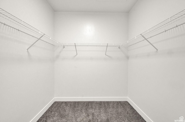 14708 S Astin Ln Unit 302, Herriman, UT 84096 - walk in closet with carpet flooring