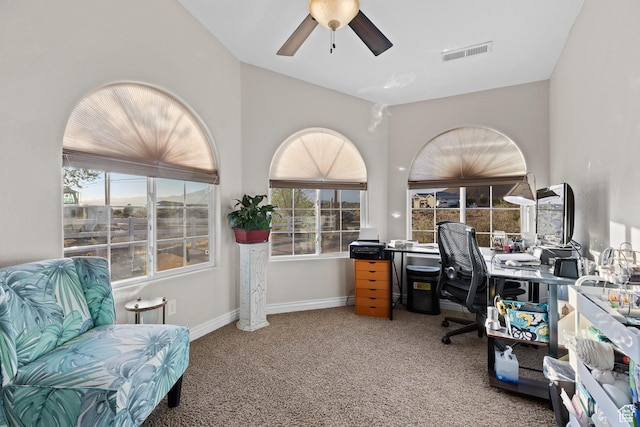 763 W 100 N, Hurricane, UT 84737 - carpeted office space featuring ceiling fan and healthy amount of natural light