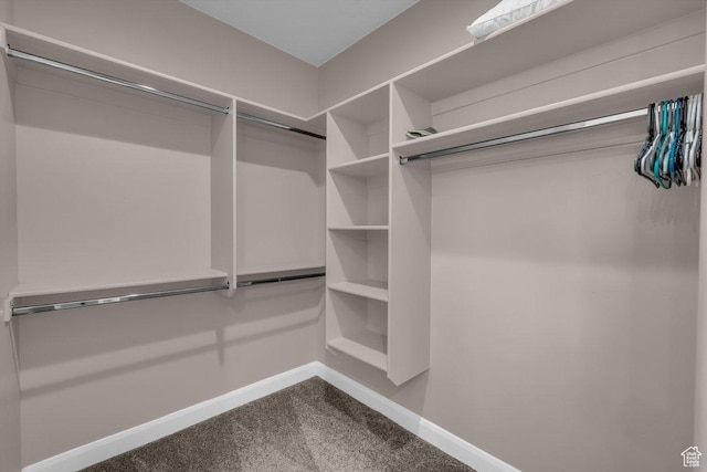 3334 W 2700 S, Hurricane, UT 84737 - walk in closet featuring dark carpet