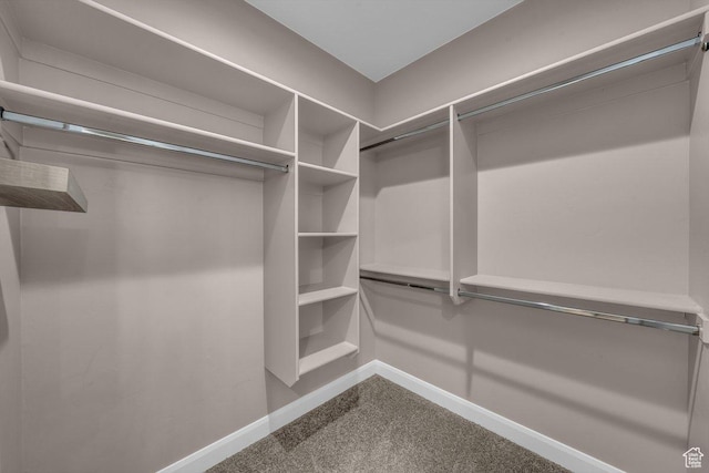 3334 W 2700 S, Hurricane, UT 84737 - walk in closet featuring carpet