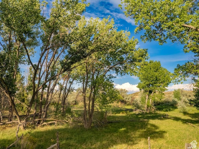 20673 W E River Rd, Duchesne, UT 84021