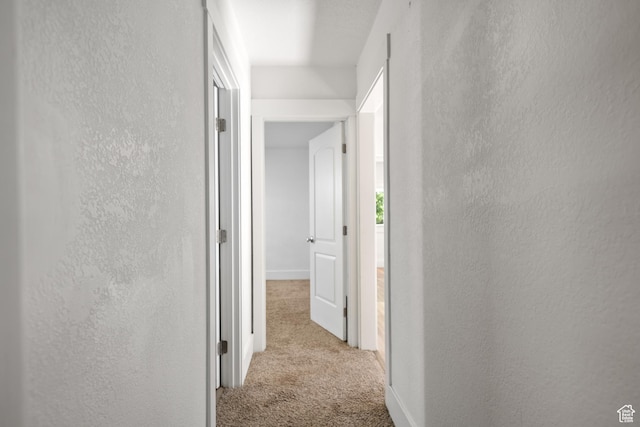726 E 29th S, Ogden, UT 84403 - hall with carpet floors and a textured wall