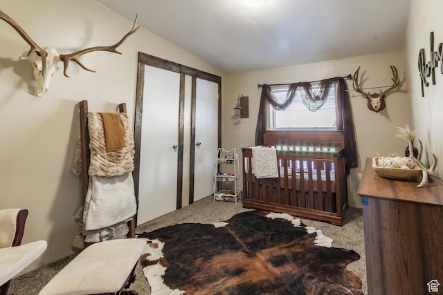 5375 N Canal Rd, Lapoint, UT 84039 - bedroom with carpet floors and lofted ceiling