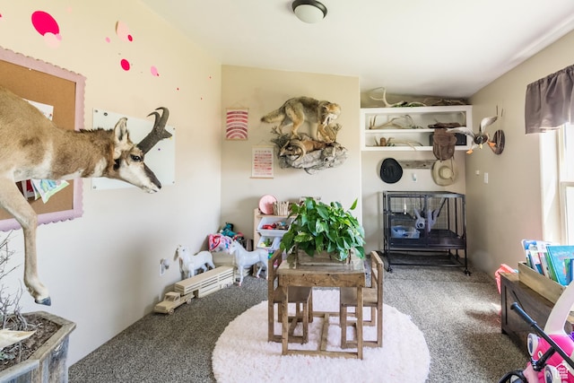 5375 N Canal Rd, Lapoint, UT 84039 - living room with carpet