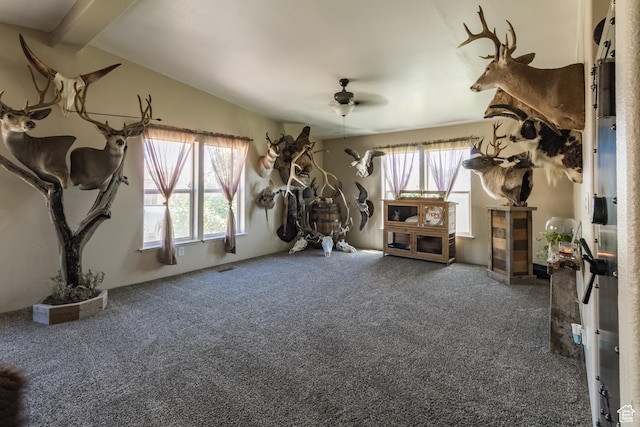 5375 N Canal Rd, Lapoint, UT 84039 - workout room with carpet flooring and a ceiling fan