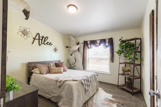 5375 N Canal Rd, Lapoint, UT 84039 - bedroom with carpet