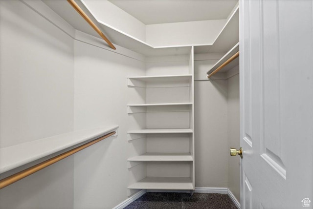 845 S 1150 E, Preston, ID 83263 - view of spacious closet