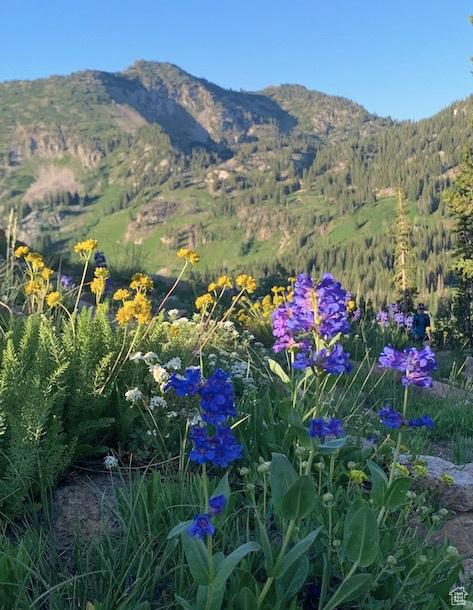 9851 Homestake Rd S Unit 206, Sandy, UT 84092