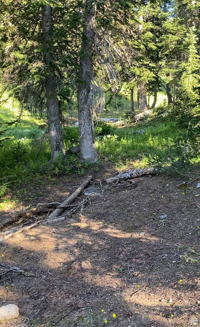 9851 Homestake Rd S Unit 206, Sandy, UT 84092