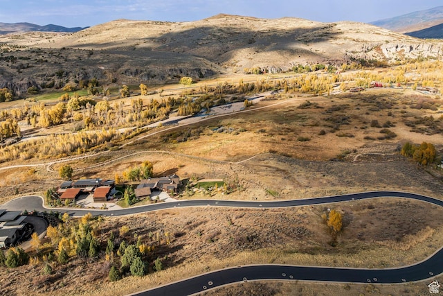 6050 E Green Drake Dr Unit 8, Heber City, UT 84032