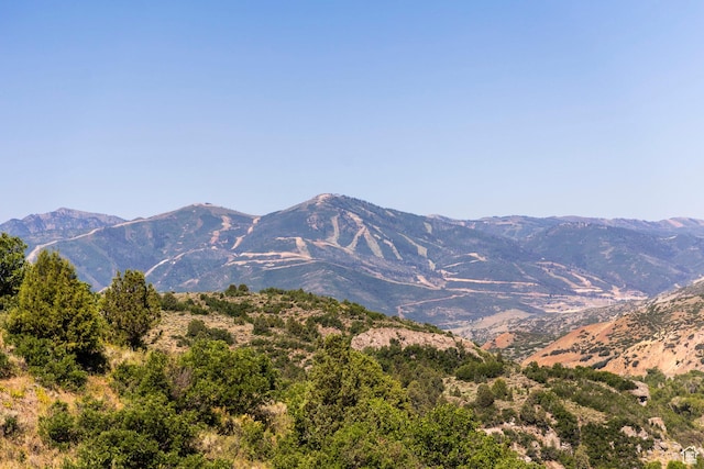 6050 E Green Drake Dr Unit 8, Heber City, UT 84032